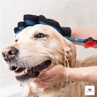 Guante Masajeador y Bañador 3 en 1 para Mascotas - Kit Profesional con Manguera